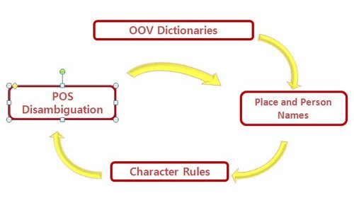 LanguageWare Process